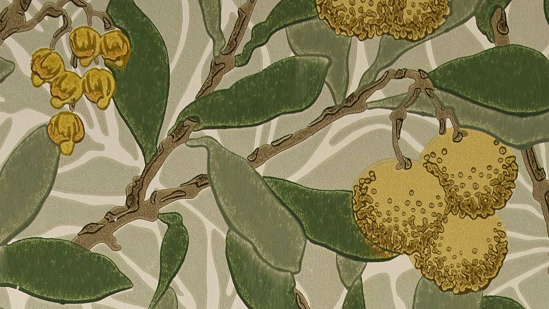 Morris and Friends Wallpapers Arbutus