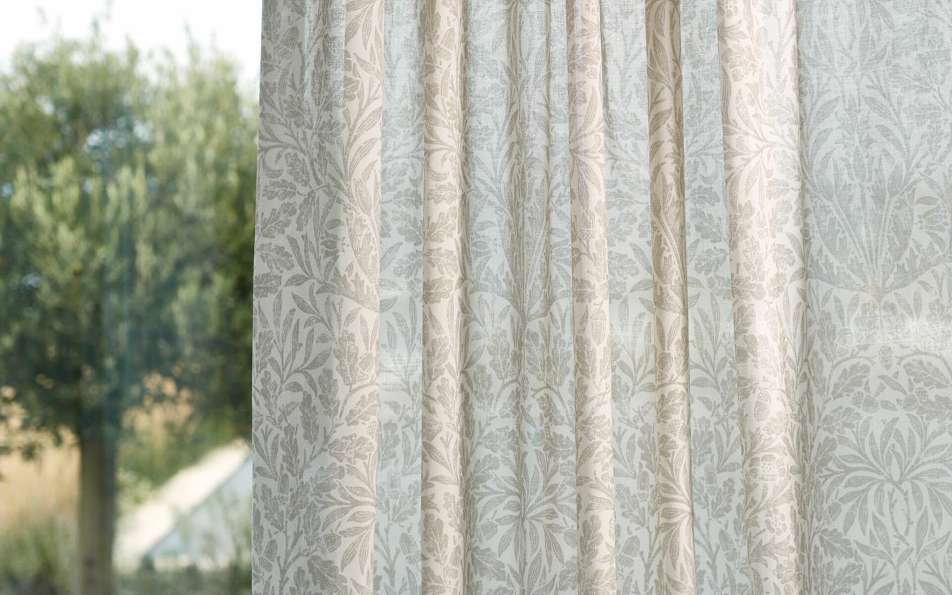 Pure Acorn Sheer