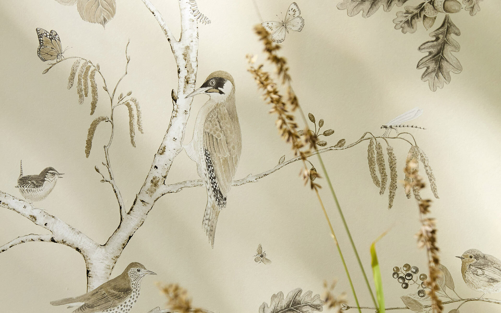 Woodland Chorus