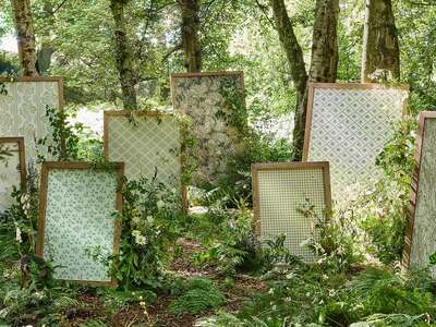 Country Woodland