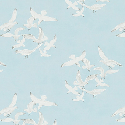Seagulls Blue