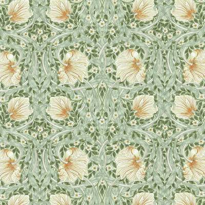 Pimpernel Bayleaf / Manilla