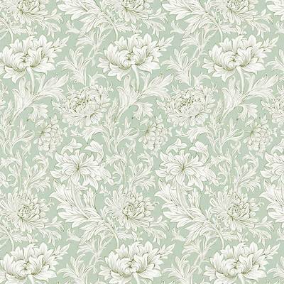 Chrysanthemum Toile Willow