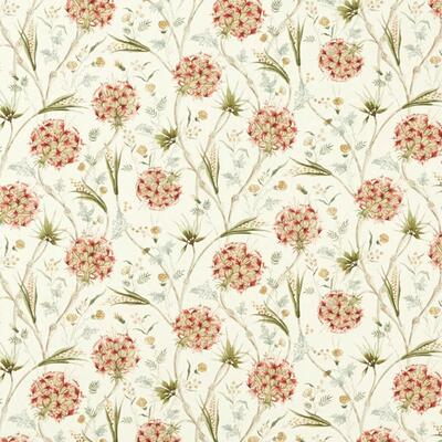 Wallichi Russet/Olive