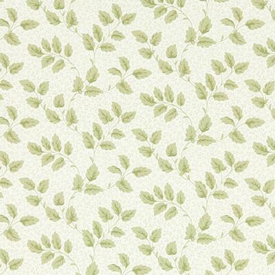 Tomato Leaf Leaf Green