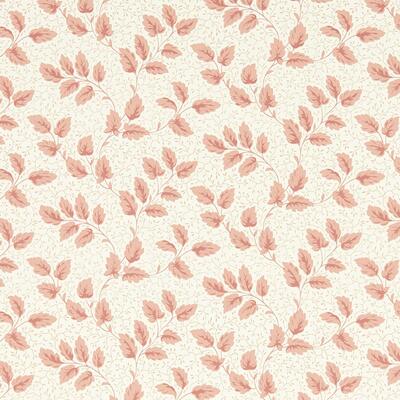 Tomato Leaf Pink Clay