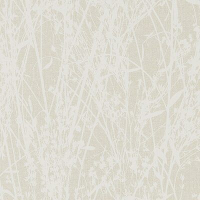 Meadow Canvas White/Parchment