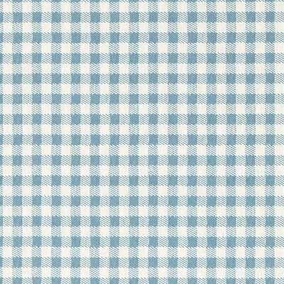 Gingham Picnic Blue