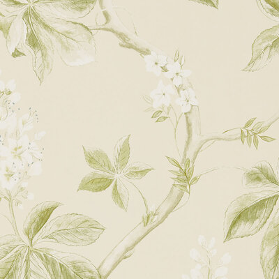 Chestnut Tree Lemon/Lettuce