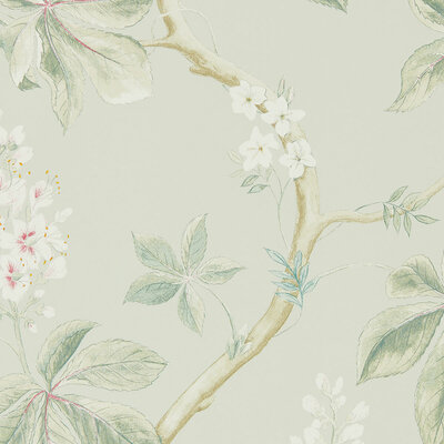 Chestnut Tree Seaspray/Peony