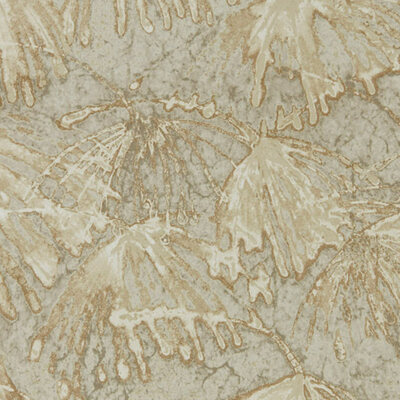 Iliad Fossil