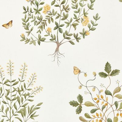 Thyme Walk 