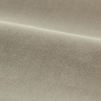 Performance Cotton Velvet Mink