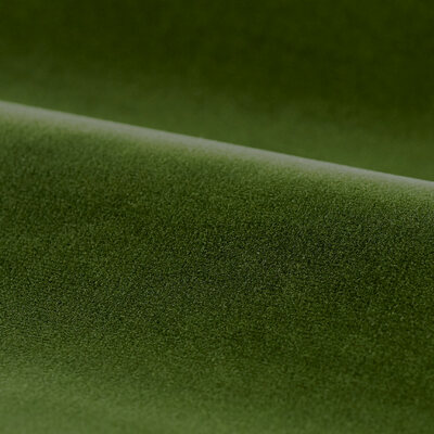 Performance Cotton Velvet Evergreen