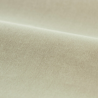 Platinum Grey 333446