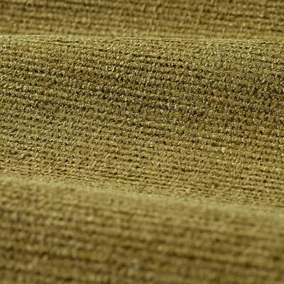 Spanish Olive 333529