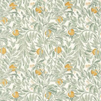 Ancient Apple Orchard