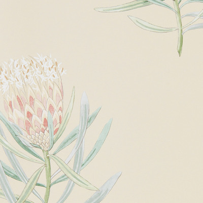 Protea Flower Russet/Green