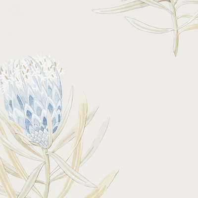 China Blue/Canvas 216327