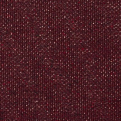Persis Currant