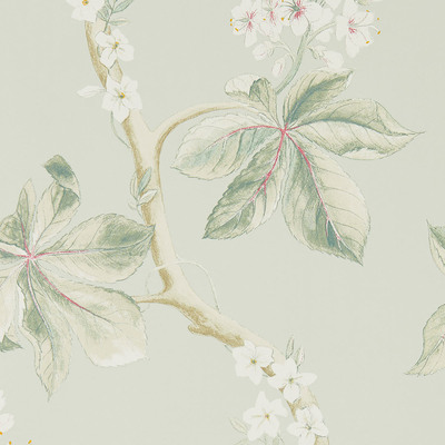 Chestnut Tree Seaspray/Peony