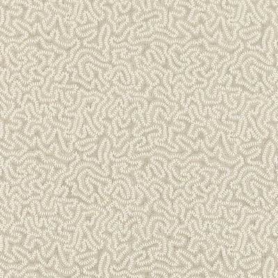 Maze Coral Stone