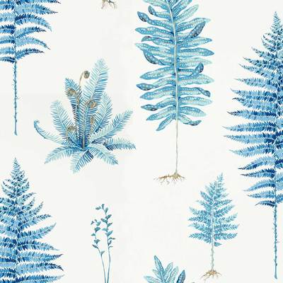 Fernery China blue