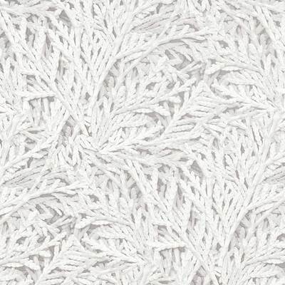Nootka Empire Grey