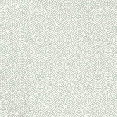 Pinjara Trellis Blue Clay